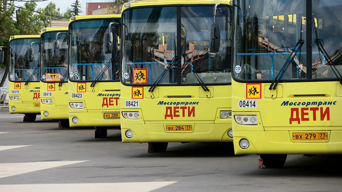 Подвоз детей автобусами. Автобус для детей. Школьный автобус дети. Автобус для перевозки детей.