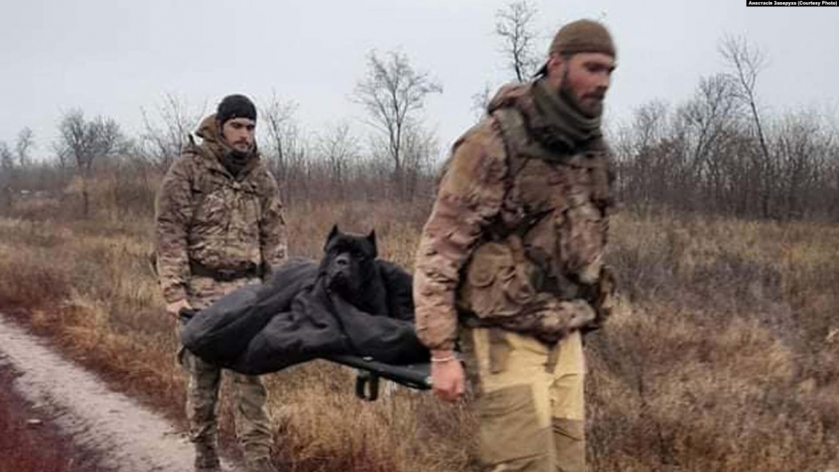 Украинские военные несут Васю после полученной травмы к ветеринару