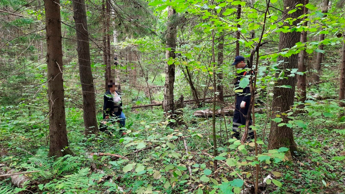 В лесах под Талдомом грибники ищут грибы, а спасатели продолжают искать грибников фото 21