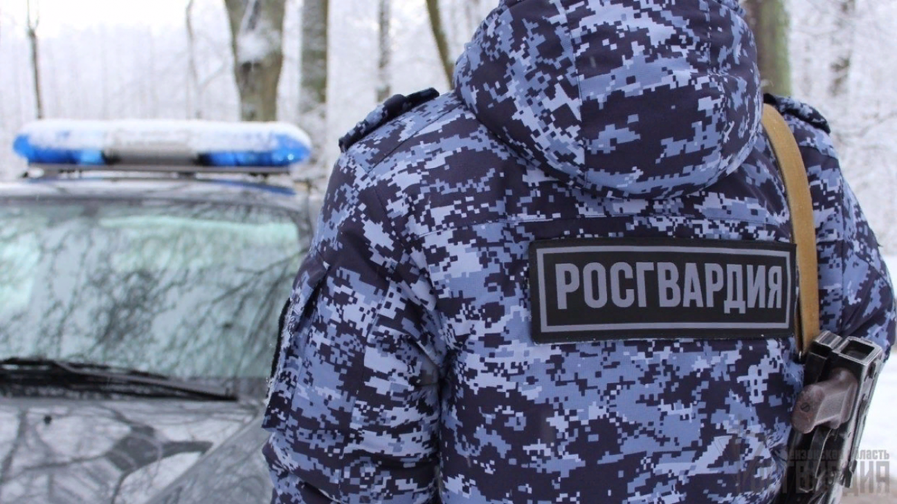 Изображение носит ознакомительный характер