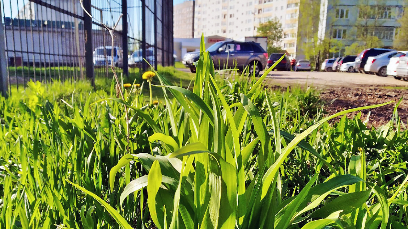 Фото: konakovograd.ru
