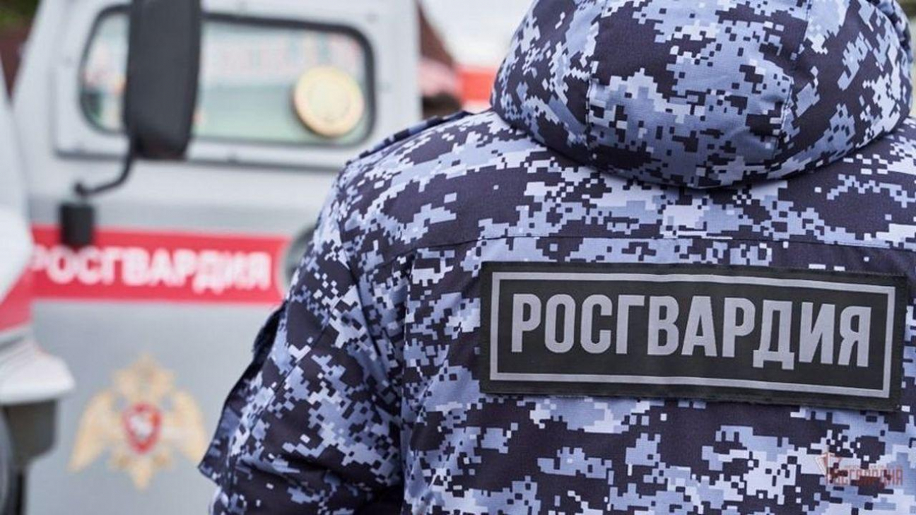 Изображение носит ознакомительный характер