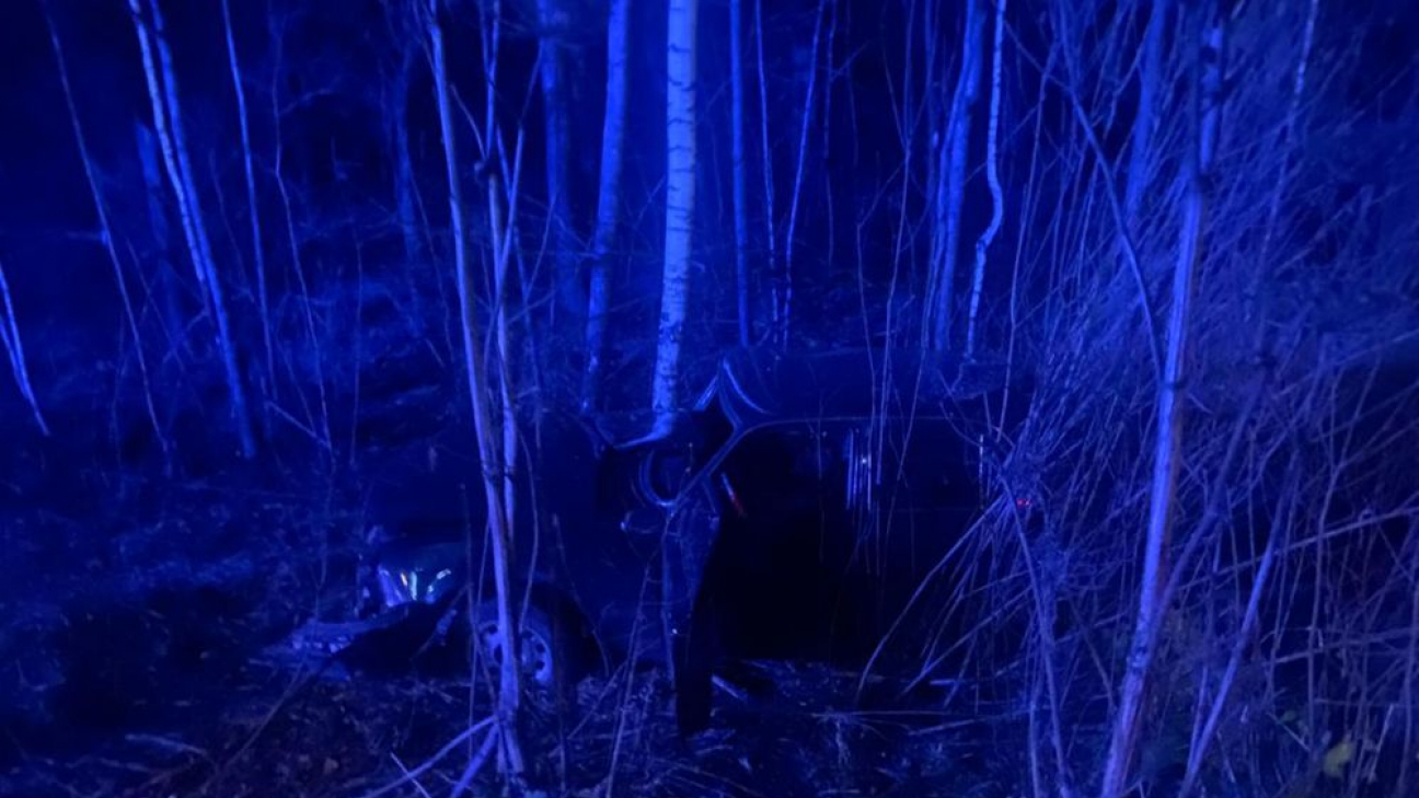 Фото: УГИБДД Тверской области