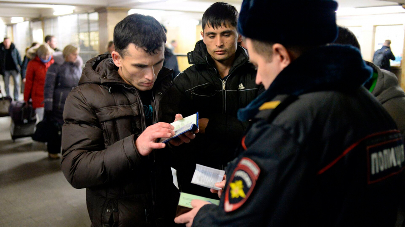 Изображение носит ознакомительный характер