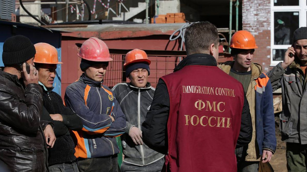 Изображение носит ознакомительный характер