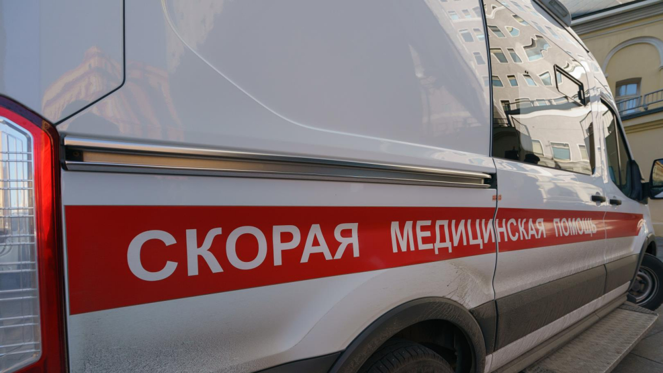 Изображение носит ознакомительный характер