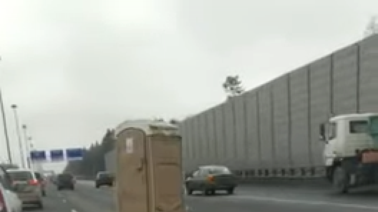 Фото: скриншот видео
