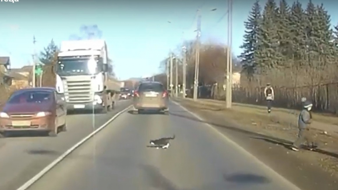 Фото: стоп-кадр из видео