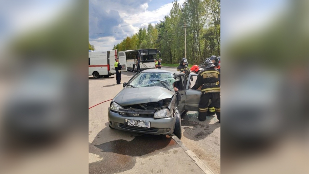 Фото: ГУ МЧС России по Московской области