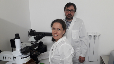 Ольга Филиппова и Андрей Дмитриев проводят стратиграфические исследования образцов живописи в лаборатории